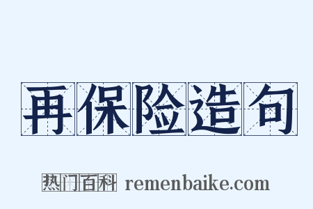 再保险造句是什么意思的图片